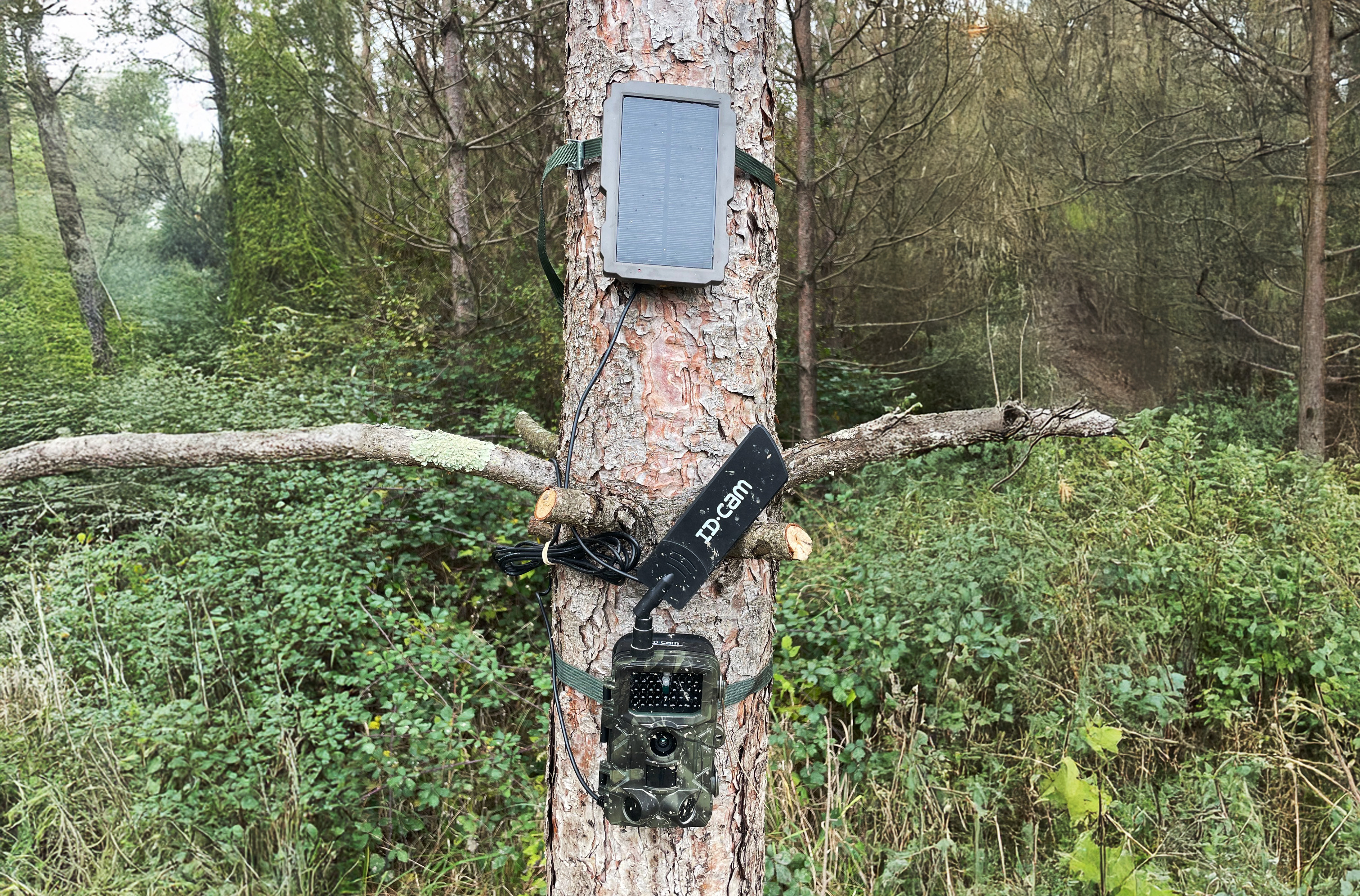 Exemple d'installation d'une caméra connectée 4G ID300S et du panneau solaire IDPS1